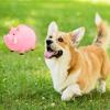 Brinquedo de Morder Animal Cão Desenho Animado com Apito Resistente à Mordida Látex Javali Hipopótamo Rinoceronte Animal de Estimação Dentição Limpeza Brinquedo Interativo para Tédio