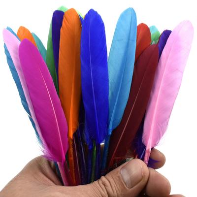 Entenfedern für Bastelarbeiten Handwerkszubehör Ohrringe Gänsefederdeko Schmuckherstellung Dekoration Traumfänger