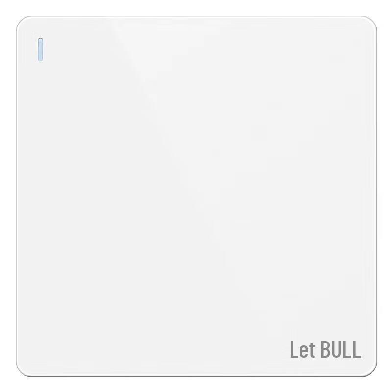Bull G12 Series One-Gang One-Way Large Panel Switch