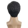 2025 Europäische Mode Kurze Glatte Perücke Für Männer HW740