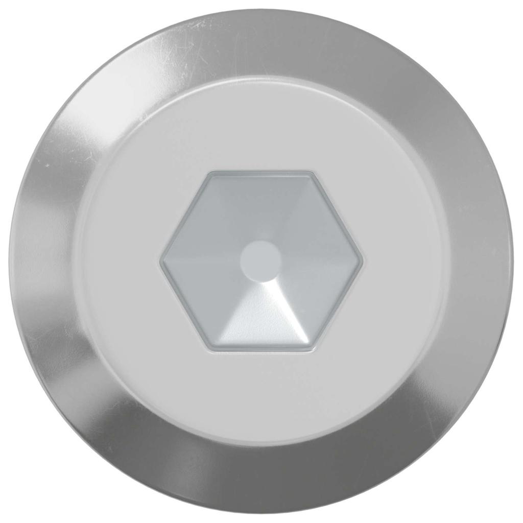 Screw 12 Pcs Silver M6 X 100 Mm Steel