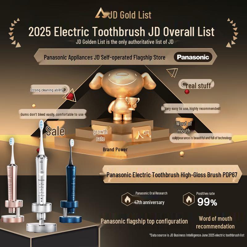 Panasonic EW-PDP67 Dual Motor Electric Toothbrush