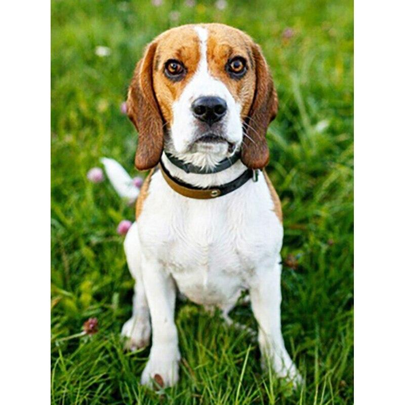 

Новый 5D DIY алмазная живопись домашняя собака Алмазная вышивка животное вышивка крестиком полная квадратная круглая дрель ремесла домашний декор ручной подарок Full Round 15x20CM