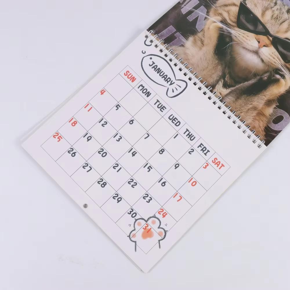 Newest Cute Cat 2026 Calendar Monthly and Daily Planner with Adorable Frog-Eyed Kitten Design Funny Family Planner