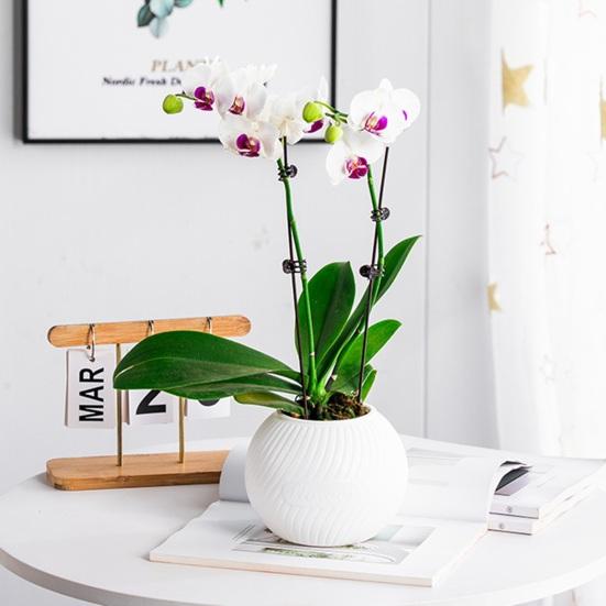 Self Watering Pot for Indoor Plants Plastic Wicking Flower Pot with Inner Pot Modern Decorative Planter for Herbs Flowers House Plants