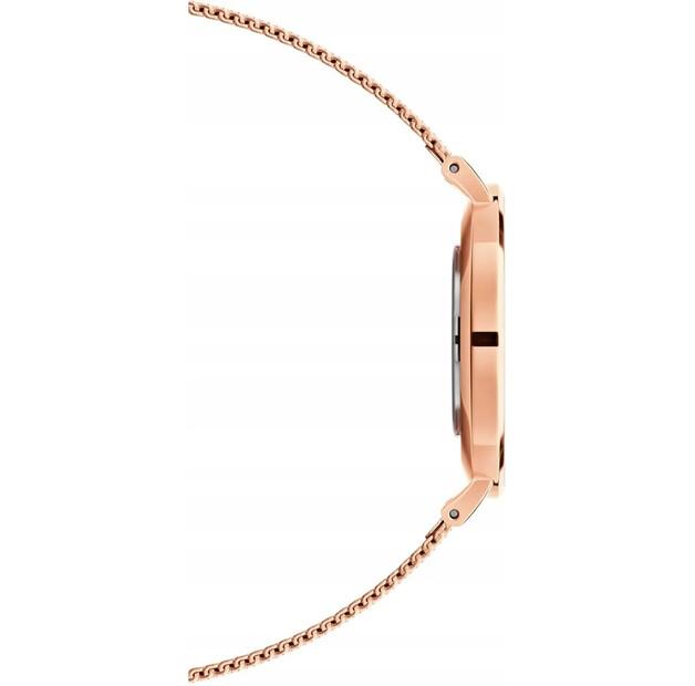 Часы Daniel Wellington Petite Evergold 36 DW00100345