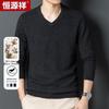 Hengyuanxiang Men's Thick Pure Wool V-Neck Pullover Sweater