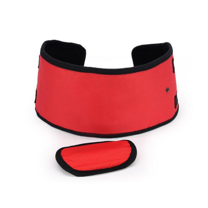 Hot Selling Dog Carrier Handbag & Support Waist Belt