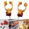 25mm Clamp Type Inner Spring Detachable Steel Ball Waterer 360 Degree Sprout Chicken Quail Parrot Automatic Drinking Spout 5Pcs