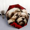 Muster mit Shih Tzu und Blumen, automatisch faltbarer Regenschirm, tragbares und faltbares Design, 8 Schirmstäbe, ein Weihnachts- oder Geburtstagsgeschenk.