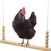 Chicken Swing Chicken Stand Parrot Suspension Bridge Pet Bird Toy Habitat Solid Wood Rooster Toy