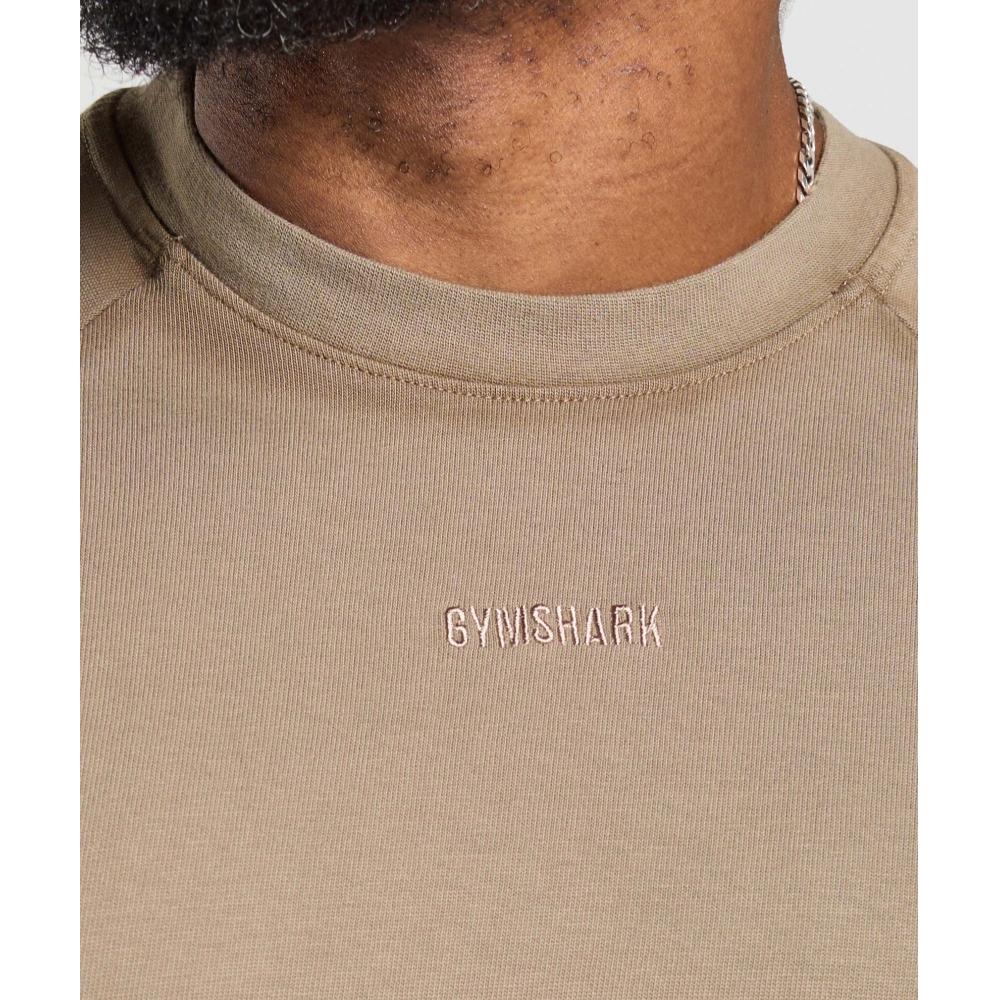 Gymshark Těžké tričko LifeStyle Hnědé A2b9p Nc0s