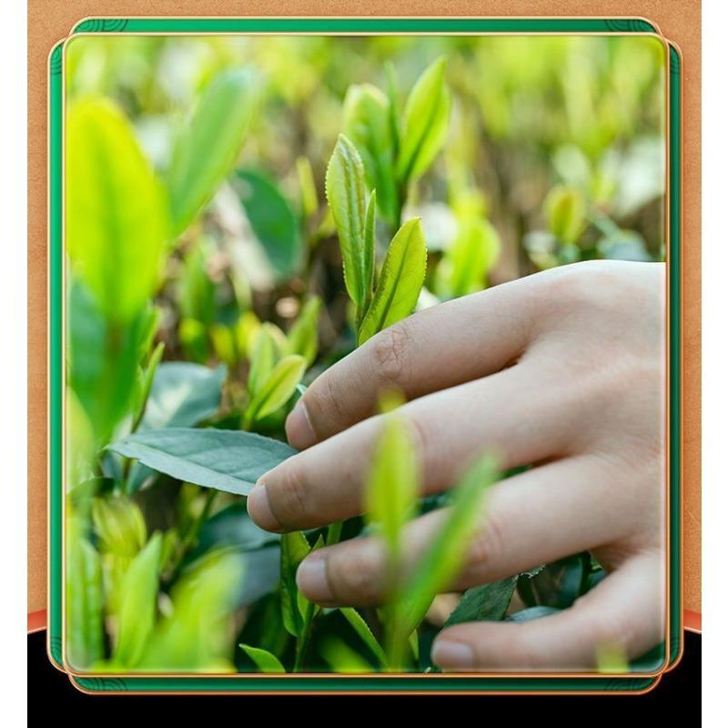 200G Schnee Jasmin Starker Jasmintee Neuer Tee Sichuan Maofeng Tee