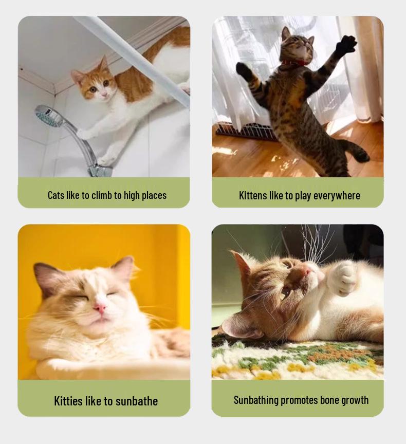 Universal Cat Hammock with Suction Cups - Wall-Mounted Hanging Bed for All Seasons