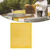 Trapping Grid Net Queen Excluder Tool Dimension Enhance