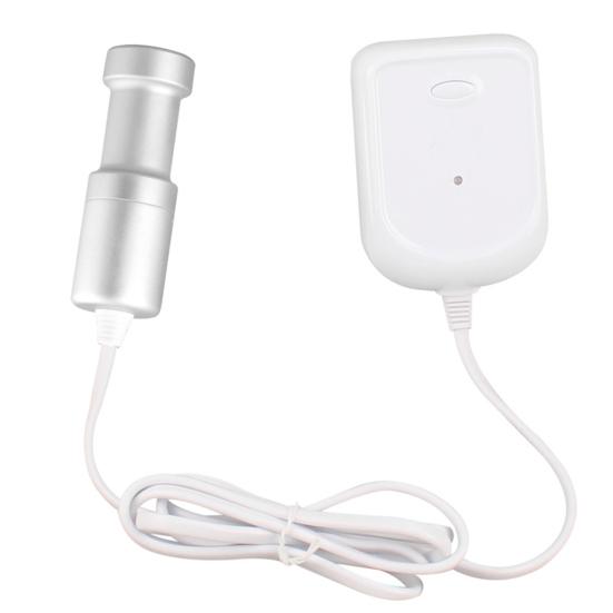 CE-9600 Fruit Cleaner Multifunctional Ultrasonic 70W Portable Ultrasonic Watch Vegetable Cleaner for Home