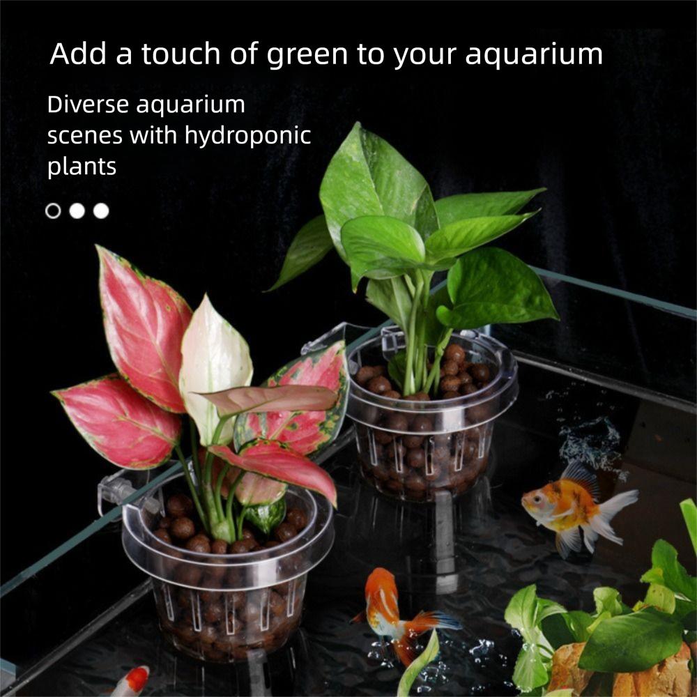 Transparent Fish Tank Hydroponic Planting Basket Water Plant Stand Glass Pot Aquarium Planter Cups Planted Tank