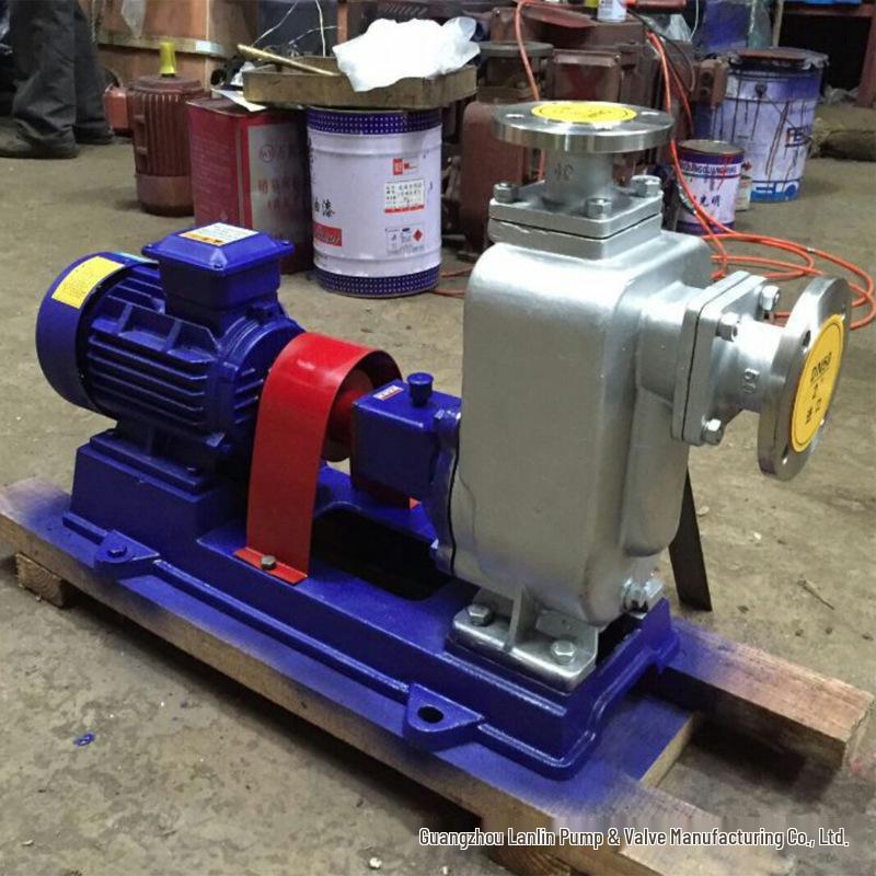 50ZW20-35 Horizontal Self-Priming Sewage Pump, 4KW High-Flow for Wastewater Discharge