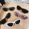 Vintage Punk Sports Sunglasses Women Men Y2K Style Cat Eye Sun Glasses Fashion Eyewear  Retro Shades