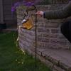 TG71282 Squirrel Solar Lamp, LED Garden Light, Solar Twilight Sensor