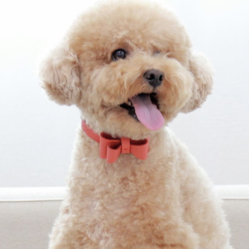 MAISON DE MIU Soft Ribbon Necklace Coral