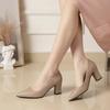 High Heels Women New Korean Style Pointed Shallow Mouth Thick Heel Fashion Shoes