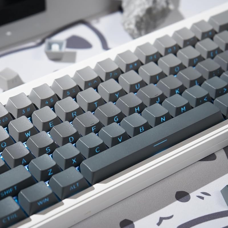 

PBT Double Shot Keycaps Gradient Gray Backlit Side Print OEM Profile Keycaps for Mechanical Keyboard 134 Keys Shine Through Custom Keycap Set
