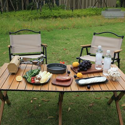 Camping Cassette Stoves Portable Folding Camp Gases Burners Stoves 2600W with Carrying Bag for