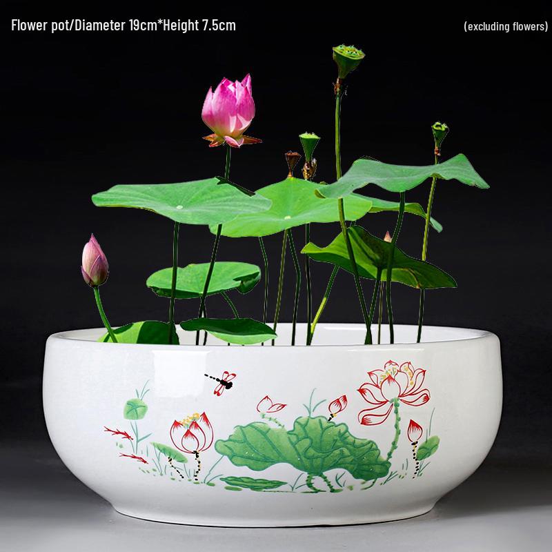 Большой керамический горшок для гидропонных цветов без дренажа  Лотос / Кувшинка  Other - Ceramic
