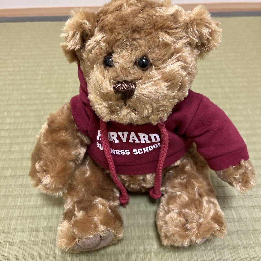 

[USED] Harvard Bear Teddy Bear