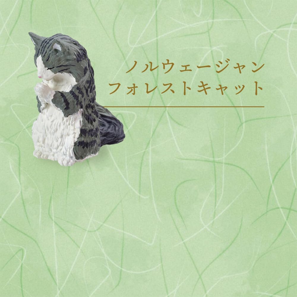 [Set of 5] Gacha Gachapon Full Set Complete Figure Toy Contents Animal Cat Cute [Gassho Takumi ~Cat Worship~ Part 2] Exotic Munchkin Calico Scottish