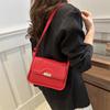 Trendy Retro Shoulder Bag For Women Stylish Small Square Crossbody Handbag