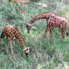 Giraffe Model Educational Toy for Kids' Science Learning