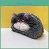 Cat Plush Pencil Case With Large Capacity For Kids And Students