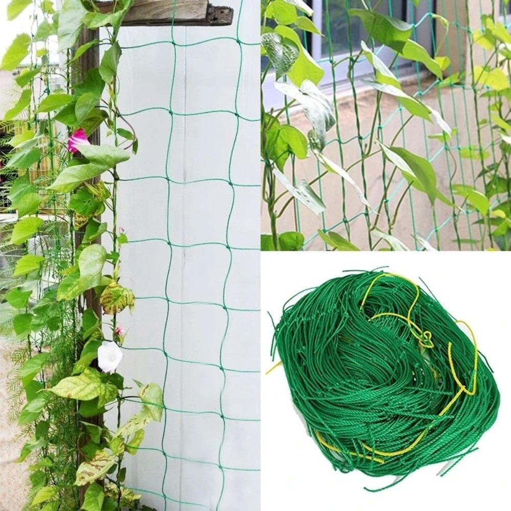 Flexible Rope Garden Trellis Netting High-quality Nylon Multifunction Plant Support Netting Climbing Plants Netting Vegetables