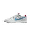 Dunk Low Silver Surfer (2024)