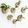 3 Stück Wandmontiertes Pflanzen-Terrarium Vermehrungsstation Klarer Zylinder Hängendes Reagenzglas Pflanzer Innen Dekorative Blumenvase für Badezimmer Büro