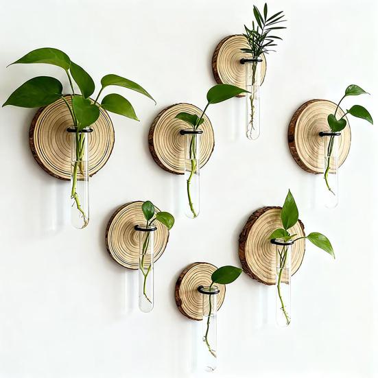 3 Stück Wandmontiertes Pflanzen-Terrarium Vermehrungsstation Klarer Zylinder Hängendes Reagenzglas Pflanzer Innen Dekorative Blumenvase für Badezimmer Büro
