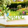 Metal Happy Spring Day Sign,Spring Decorations for Home,Party,Shelf,Mantel,Indoor,Flower Spring Table Top Decorations