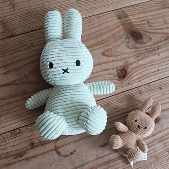 TON BON TON TOYS Corduroy Miffy 23cm [BON TOYS] BTT-001 (Fresh Mint)
