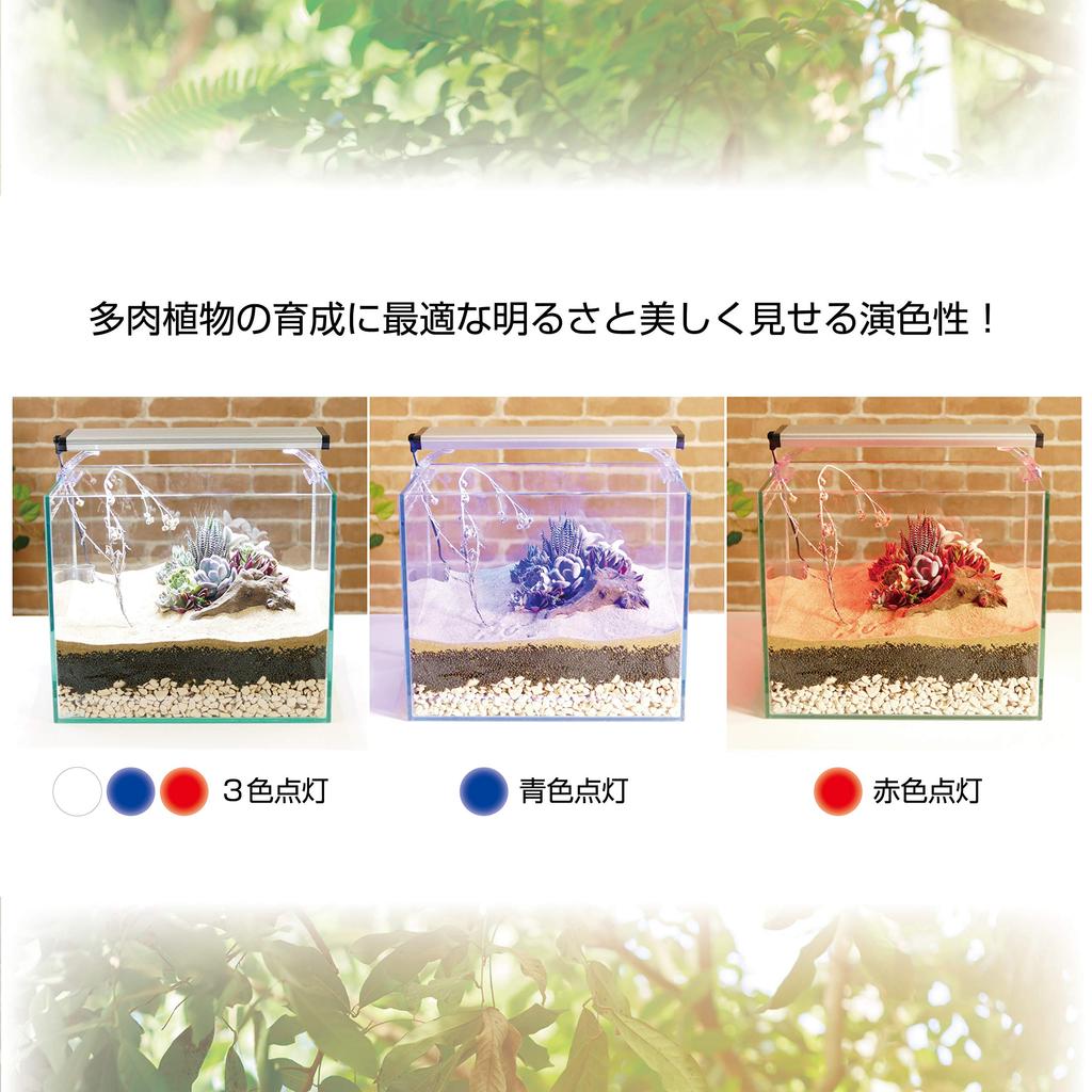GEX Klare LED POWER III 500lm Farbe 3-Farben-Schaltung mit Licht für Aquarien und 30cm breite Sukkulentenbecken 300, Helligkeit, 10.000K Temperatur,