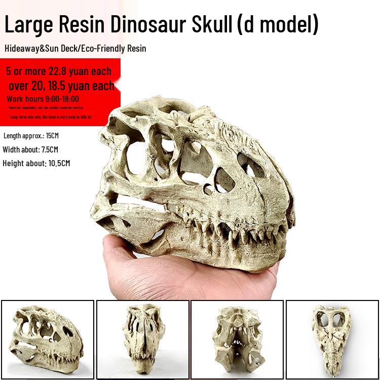 Akril Hüllőtenyésztő Doboz Dekoratív Koponyával