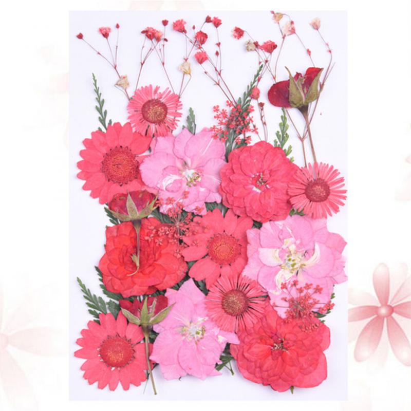 1 Set Blumenpflanzen Exemplar Prägematerial Rotes Trockenblumenpaket