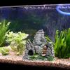 Decorazione Rocciosa in Resina per Acquario: Paesaggio Artificiale di Montagne e Acqua per Acquari