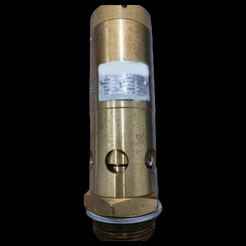 Air Compressor Universal Spring Safety Valve