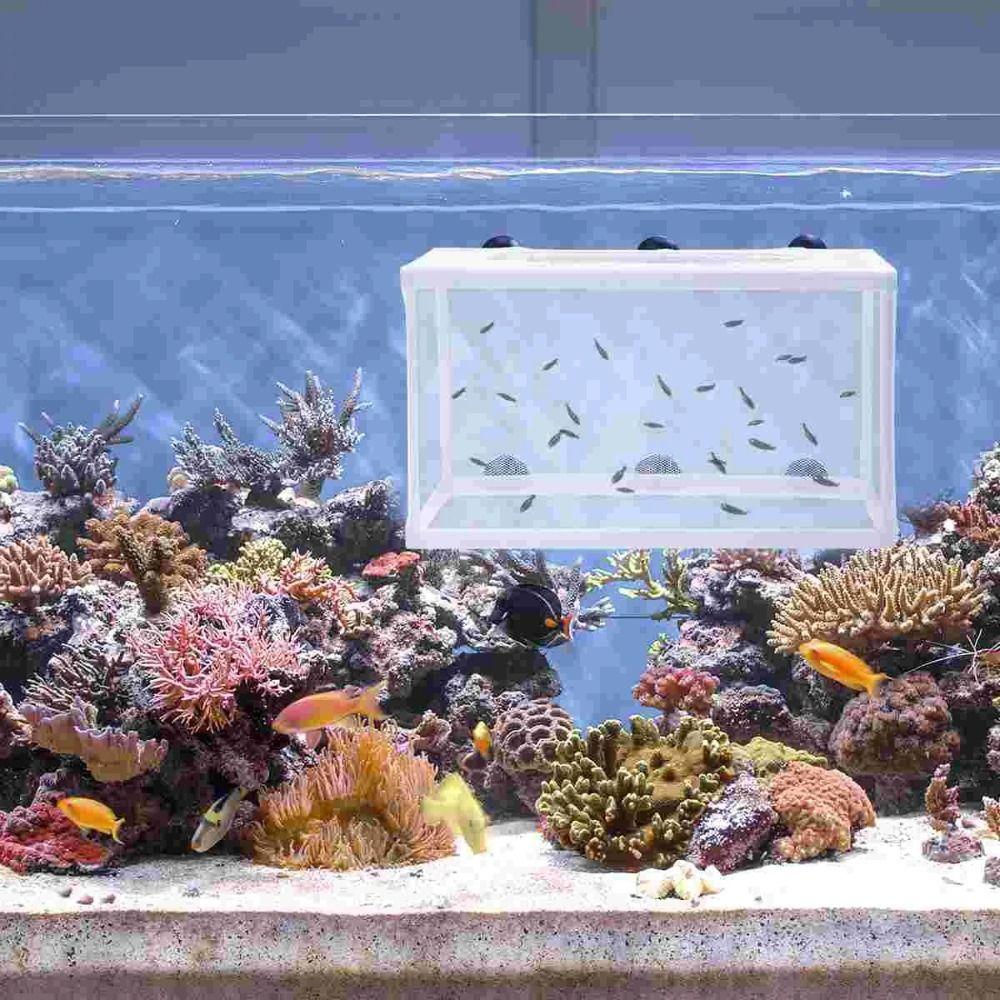 with Suction Cups Breeding Isolation Net Hanging Baby Fish Hatchery  Baby Fishes Shrimp