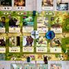 Everdell Strategy Board Game Forest City-Building Card Drafting Family Game 1-4 Players