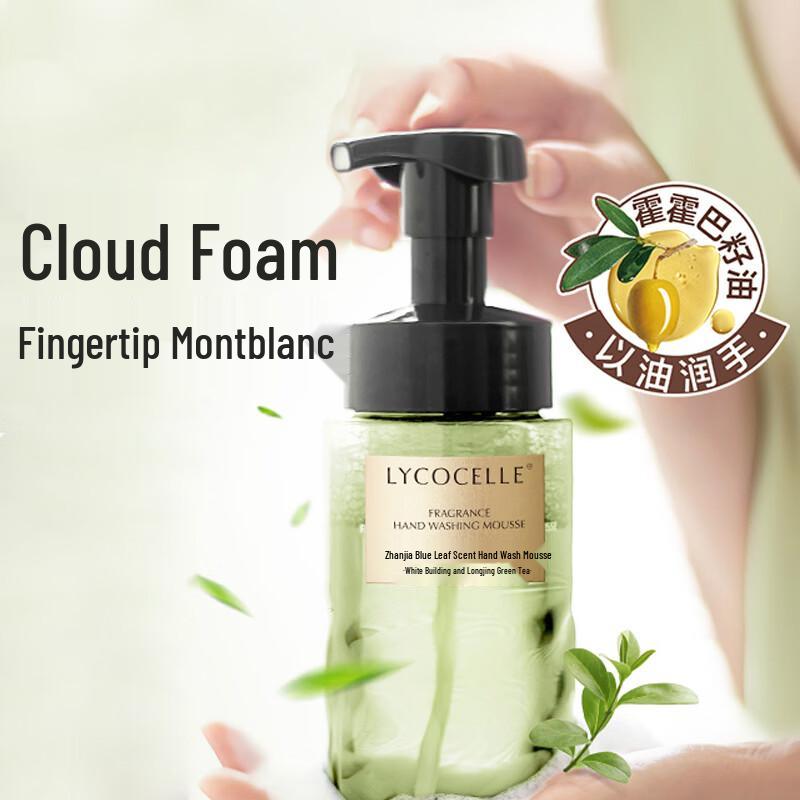 Zhanjia Eucalyptus Leaf Scented Hand Wash Mousse