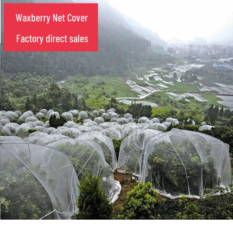 Meyve Ağaçları için Defne ve Narenciye Böcek Geçirmez Ağ Örtüsü