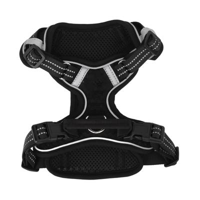 Perros – Collares y correas